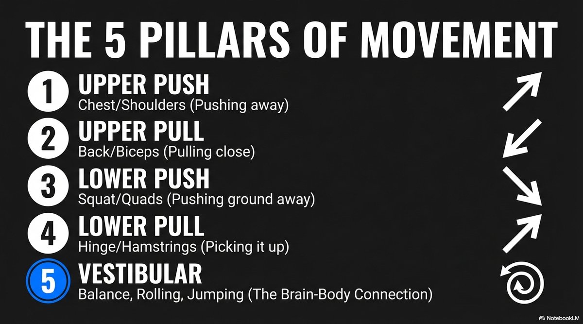 The 5 pillars of movement: upper push, upper pull, lower push, lower pull, and vestibular (balance, rolling, jumping — the brain-body connection).