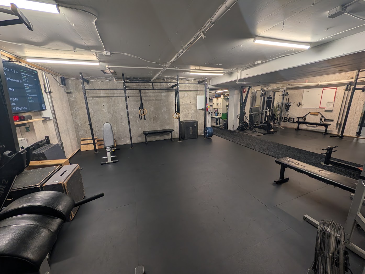 The Caves — concrete-walled training room with rings, benches and a dual cable machine